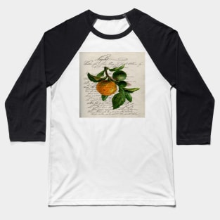 scripts Shabby French botanical print mandarin orange Baseball T-Shirt